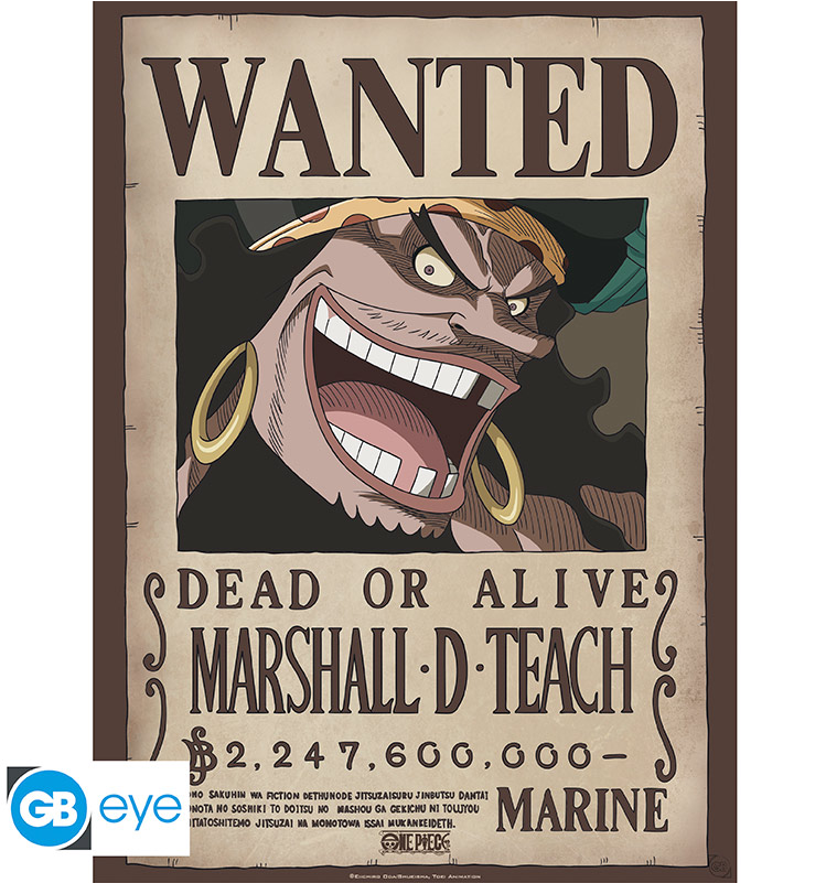 ONE PIECE - Wanted Blackbeard - Poster Chibi 52x38 cm
