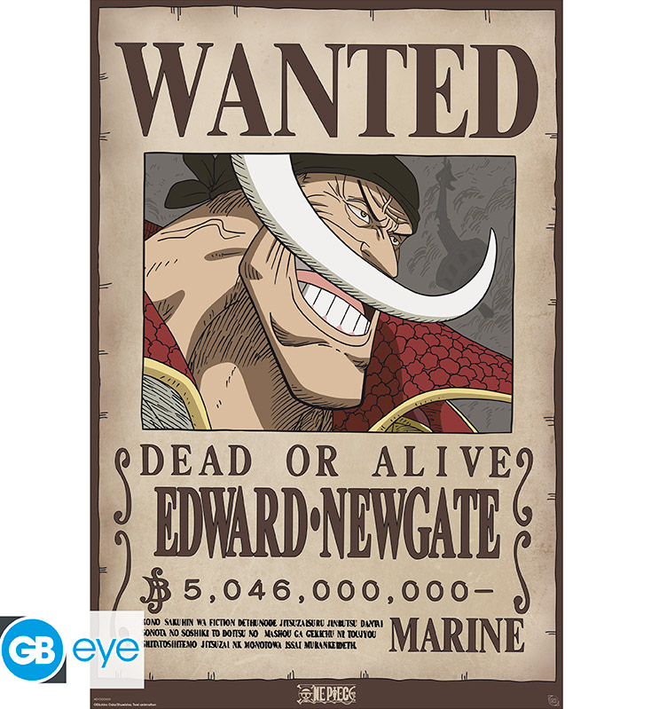 ONE PIECE - Wanted Whitebeard - Poster 91,5x61 cm
