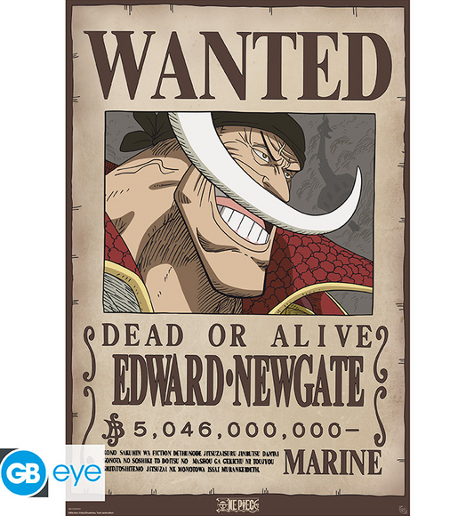 ONE PIECE - Wanted Whitebeard - Poster 91,5x61 cm